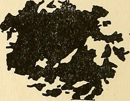 An illustration from The car wheel; giving the results of a series of investigations, 1907, leaf 93