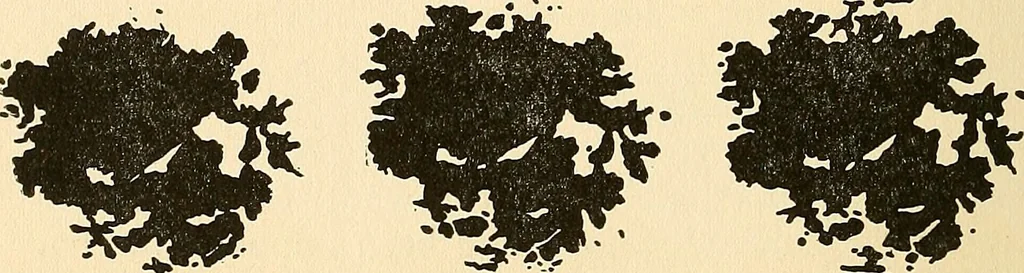 An illustration from The car wheel; giving the results of a series of investigations, 1907, leaf 93