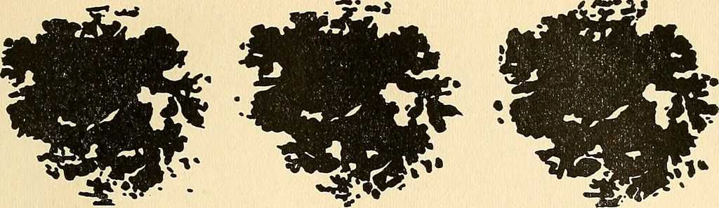 An illustration from The car wheel; giving the results of a series of investigations, 1907, leaf 94