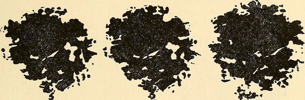 An illustration from The car wheel; giving the results of a series of investigations, 1907, leaf 94