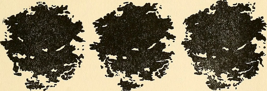 An illustration from The car wheel; giving the results of a series of investigations, 1907, leaf 94