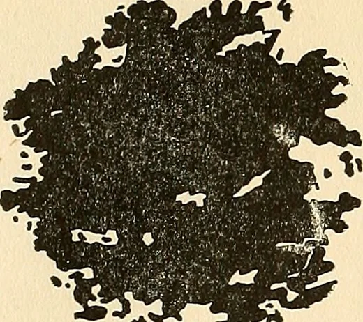 An illustration from The car wheel; giving the results of a series of investigations, 1907, leaf 95