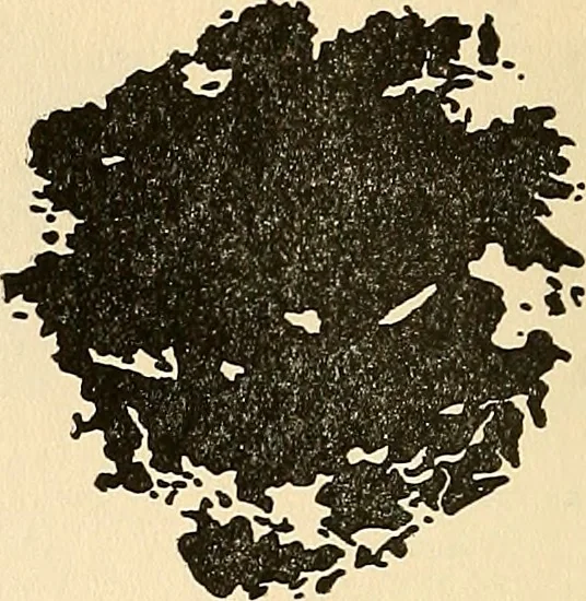An illustration from The car wheel; giving the results of a series of investigations, 1907, leaf 95