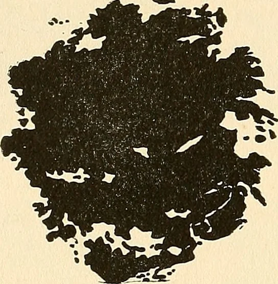 An illustration from The car wheel; giving the results of a series of investigations, 1907, leaf 95