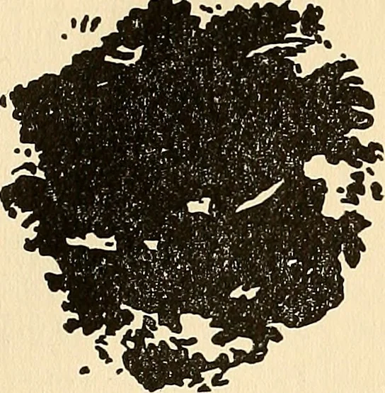 An illustration from The car wheel; giving the results of a series of investigations, 1907, leaf 97