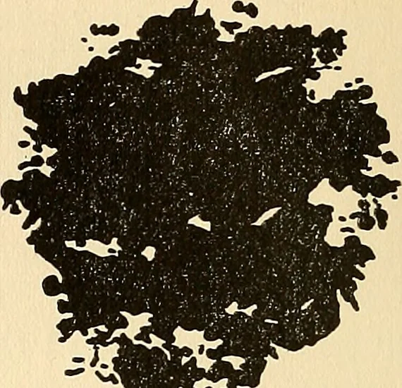 An illustration from The car wheel; giving the results of a series of investigations, 1907, leaf 97