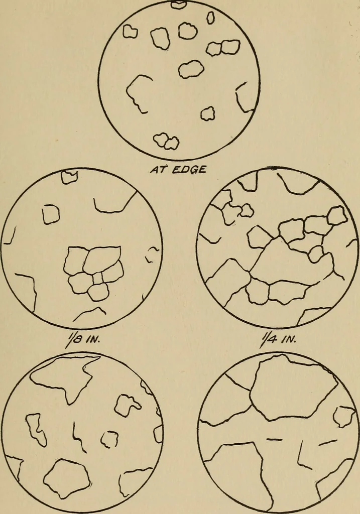 An illustration from The car wheel; giving the results of a series of investigations, 1907, leaf 42
