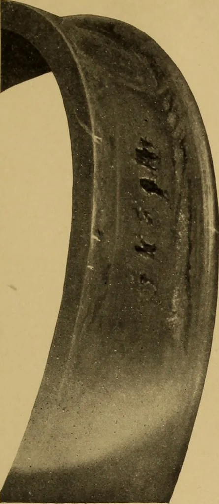 An illustration from The car wheel; giving the results of a series of investigations, 1907, leaf 64