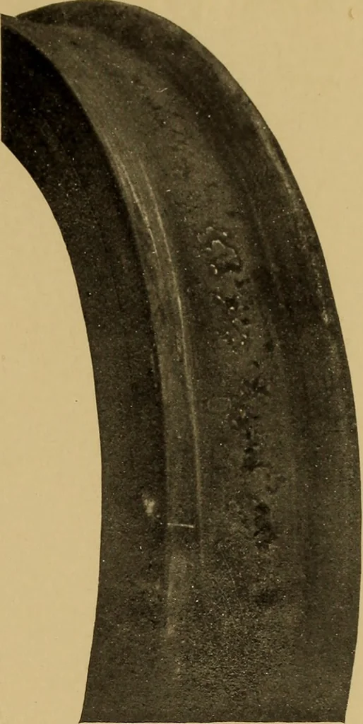 An illustration from The car wheel; giving the results of a series of investigations, 1907, leaf 64