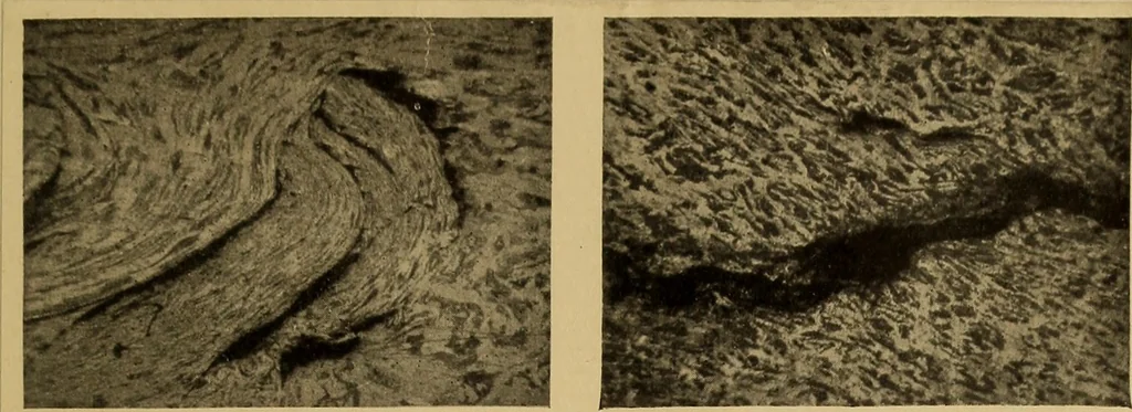 An illustration from The car wheel; giving the results of a series of investigations, 1907, leaf 72