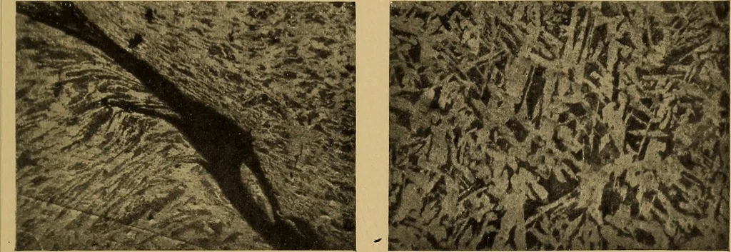 An illustration from The car wheel; giving the results of a series of investigations, 1907, leaf 72