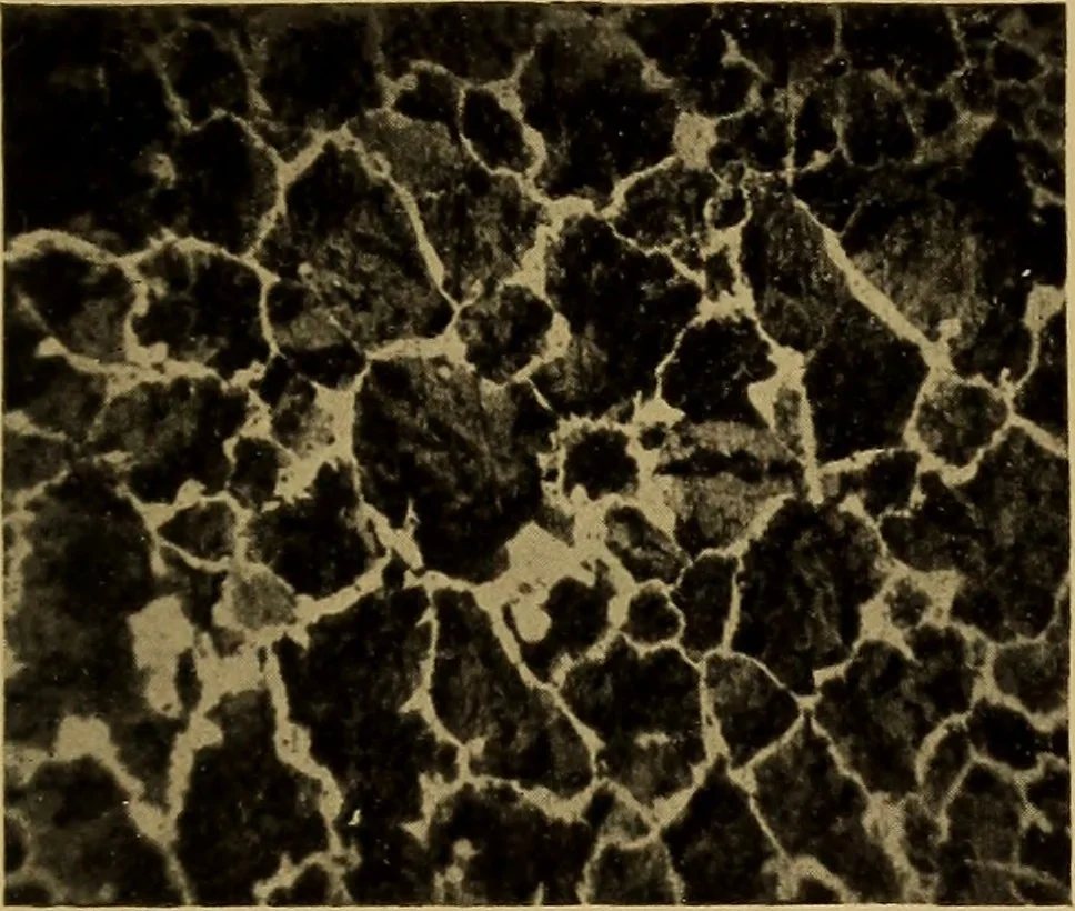 An illustration from The car wheel; giving the results of a series of investigations, 1907, leaf 74