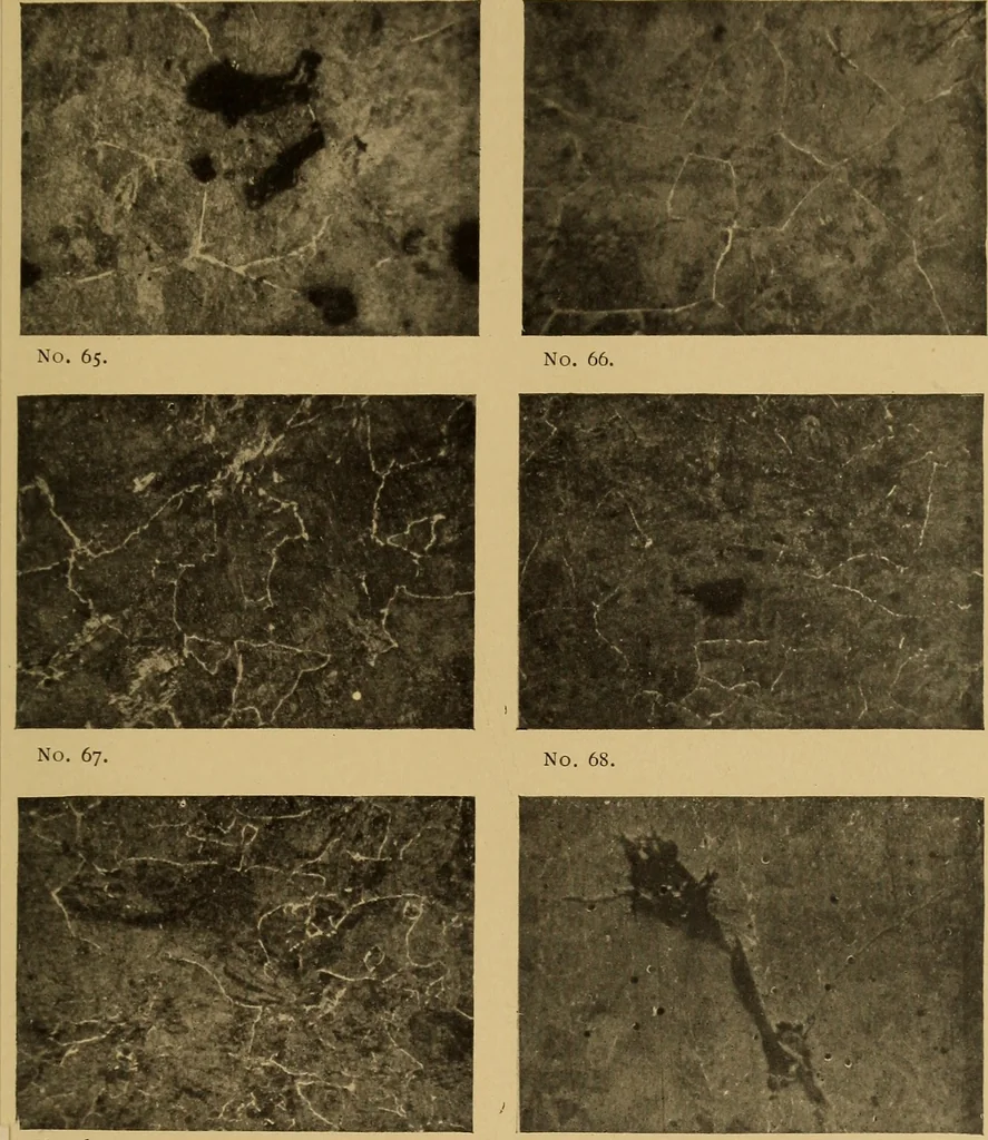 An illustration from The car wheel; giving the results of a series of investigations, 1907, leaf 76