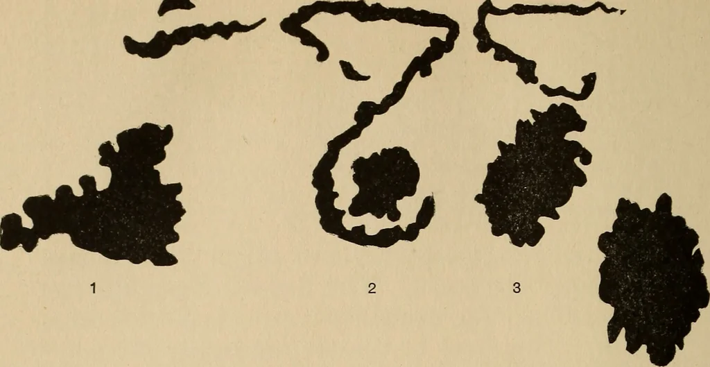 An illustration from The car wheel; giving the results of a series of investigations, 1907, leaf 83