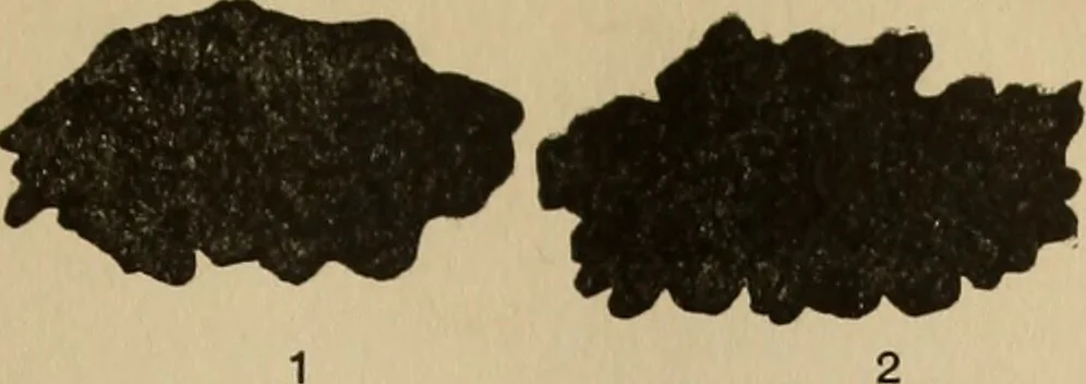 An illustration from The car wheel; giving the results of a series of investigations, 1907, leaf 84