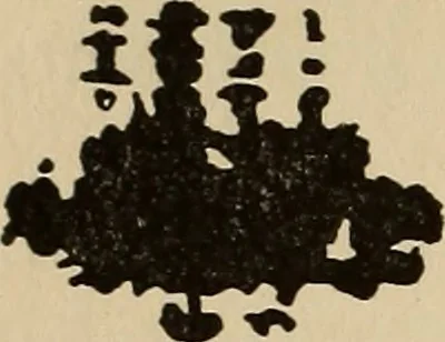 An illustration from The car wheel; giving the results of a series of investigations, 1907, leaf 85
