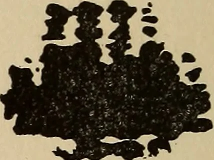 An illustration from The car wheel; giving the results of a series of investigations, 1907, leaf 85