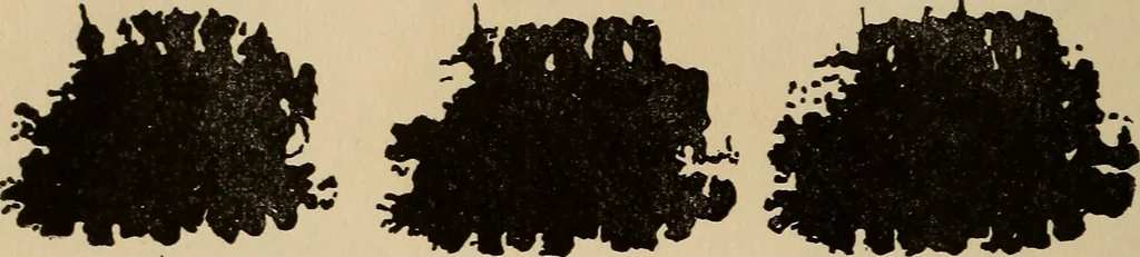 An illustration from The car wheel; giving the results of a series of investigations, 1907, leaf 87