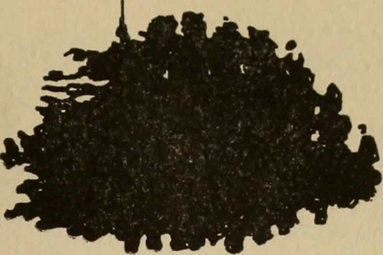 An illustration from The car wheel; giving the results of a series of investigations, 1907, leaf 88