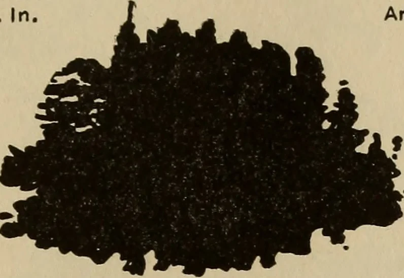 An illustration from The car wheel; giving the results of a series of investigations, 1907, leaf 88
