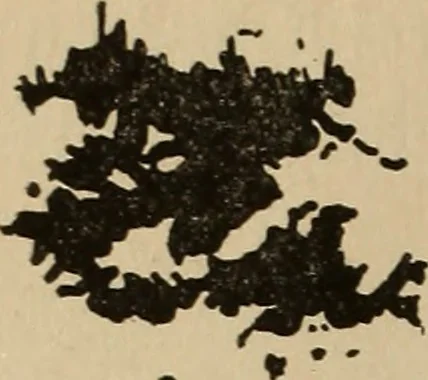An illustration from The car wheel; giving the results of a series of investigations, 1907, leaf 91