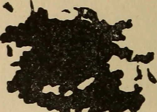 An illustration from The car wheel; giving the results of a series of investigations, 1907, leaf 91