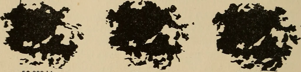 An illustration from The car wheel; giving the results of a series of investigations, 1907, leaf 91