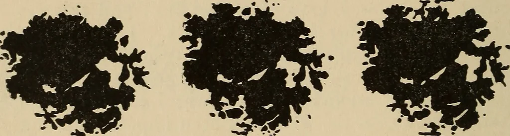 An illustration from The car wheel; giving the results of a series of investigations, 1907, leaf 91