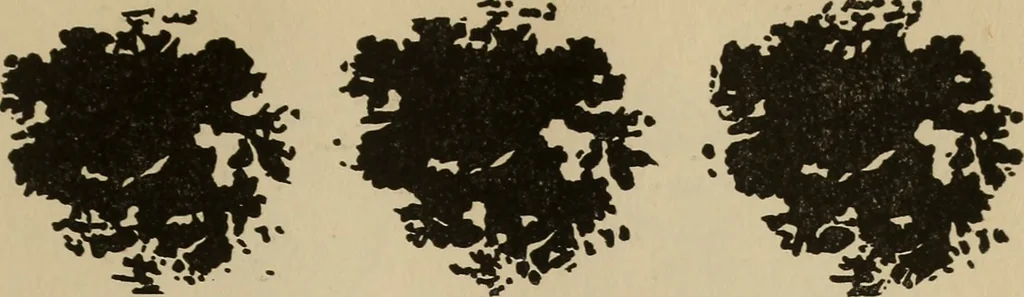 An illustration from The car wheel; giving the results of a series of investigations, 1907, leaf 92