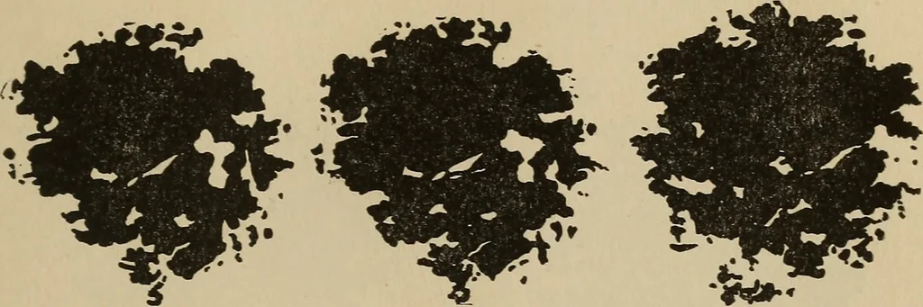 An illustration from The car wheel; giving the results of a series of investigations, 1907, leaf 92