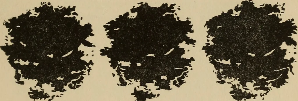 An illustration from The car wheel; giving the results of a series of investigations, 1907, leaf 92