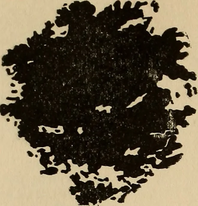 An illustration from The car wheel; giving the results of a series of investigations, 1907, leaf 93