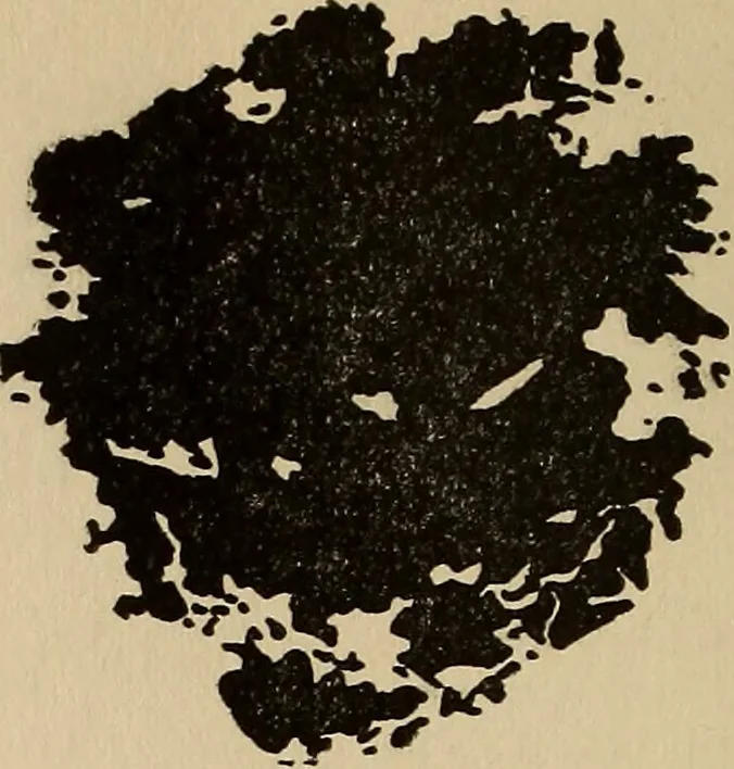 An illustration from The car wheel; giving the results of a series of investigations, 1907, leaf 93