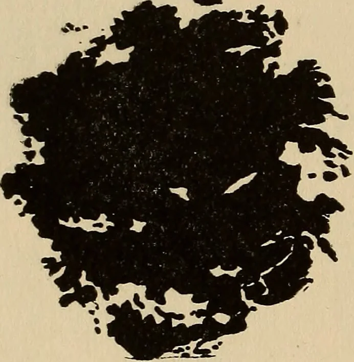 An illustration from The car wheel; giving the results of a series of investigations, 1907, leaf 93
