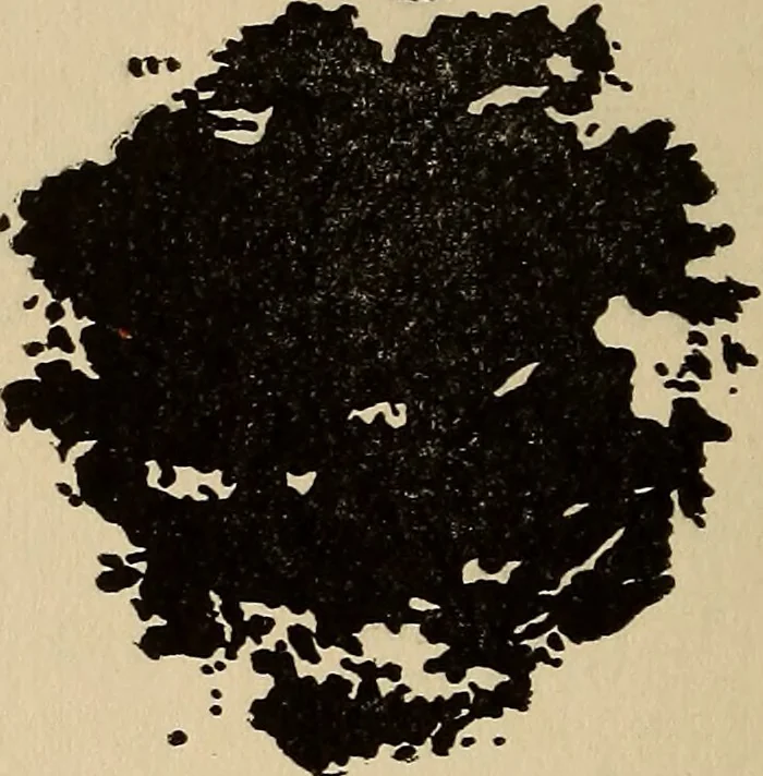 An illustration from The car wheel; giving the results of a series of investigations, 1907, leaf 93