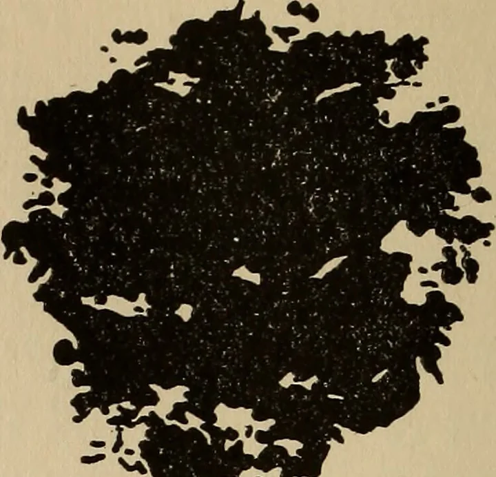 An illustration from The car wheel; giving the results of a series of investigations, 1907, leaf 95