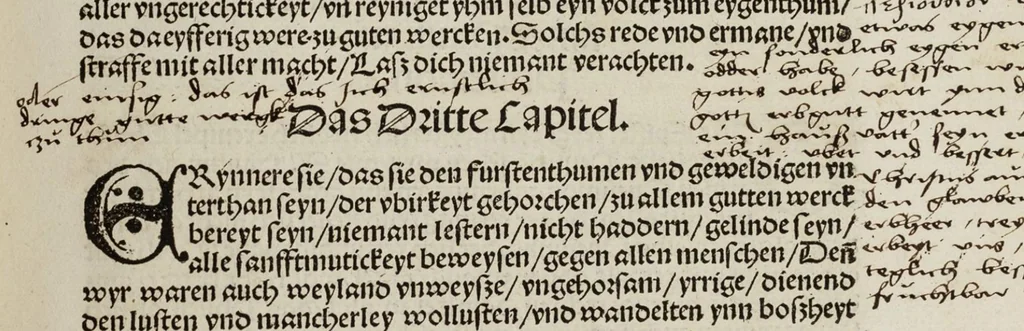 An illustration from Das Newe Testament Deůtzsch, 1522, leaf 352