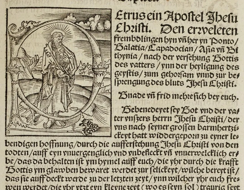 An illustration from Das Newe Testament Deůtzsch, 1522, leaf 356