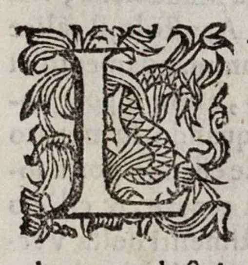 An illustration from Le cose maravigliose dell’alma città di Roma, 1595, leaf 12