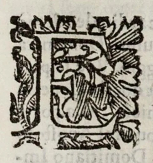 An illustration from Le cose maravigliose dell’alma città di Roma, 1595, leaf 140
