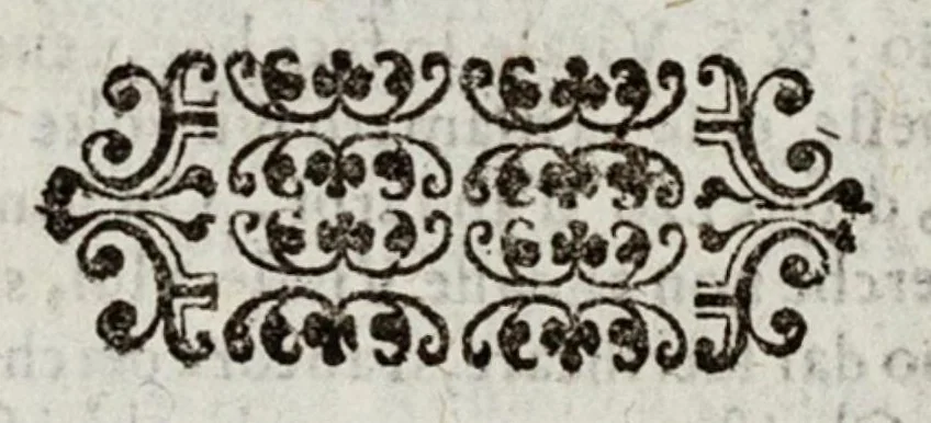 An illustration from Le cose maravigliose dell’alma città di Roma, 1595, leaf 367