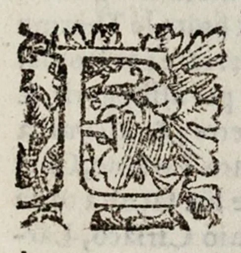 An illustration from Le cose maravigliose dell’alma città di Roma, 1595, leaf 450