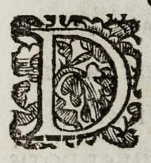 An illustration from Le cose maravigliose dell’alma città di Roma, 1595, leaf 74