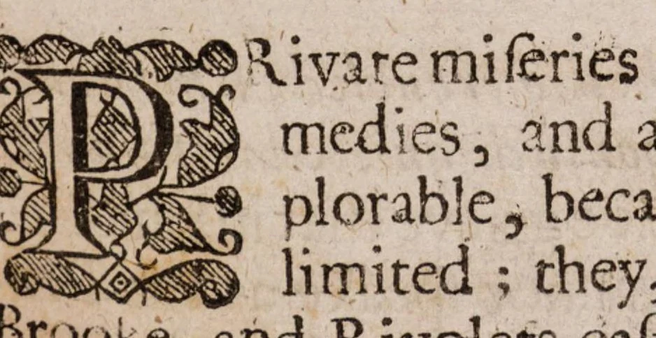 An illustration from The lamentations of Germany, 1638, leaf 120