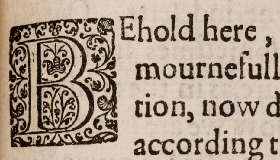 An illustration from The lamentations of Germany, 1638, leaf 320