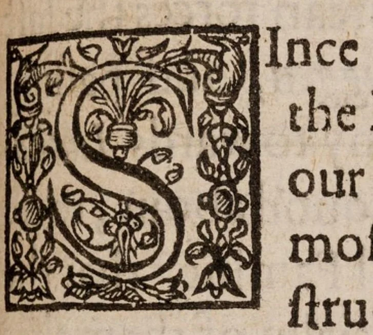 An illustration from The lamentations of Germany, 1638, leaf 334