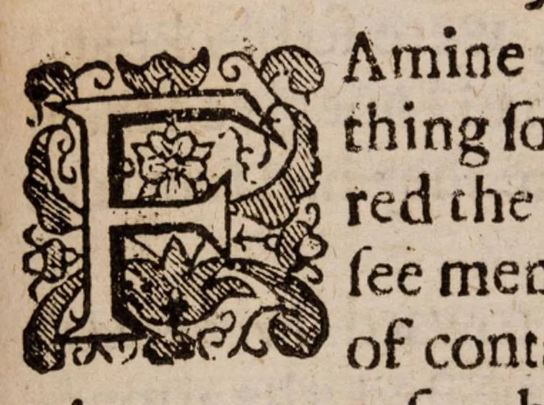 An illustration from The lamentations of Germany, 1638, leaf 398