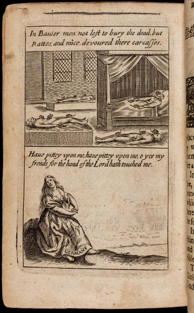An illustration from The lamentations of Germany, 1638, leaf 423