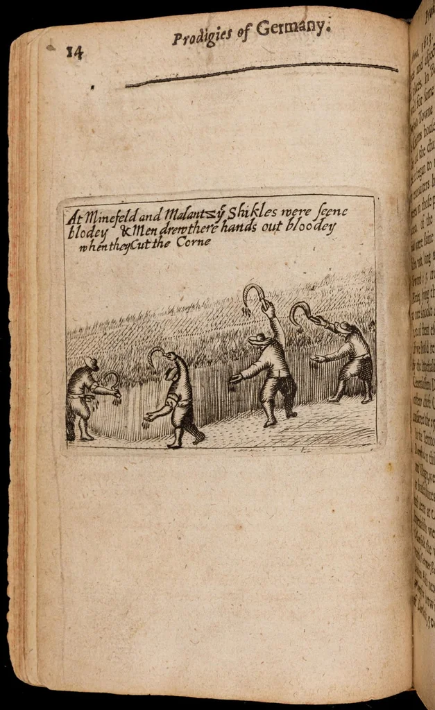 An illustration from The lamentations of Germany, 1638, leaf 53
