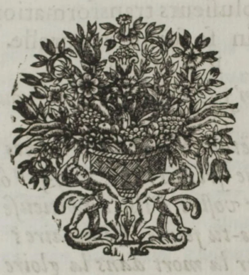 An illustration from Phaeton, 1683, leaf 31
